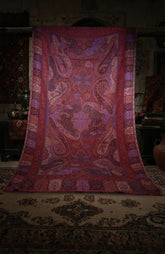 Kaani Shawl (KM-03)