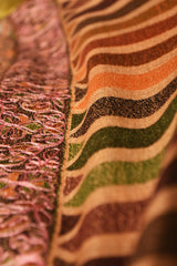 Kalamkaar Kaani Shawl (KKM-02)