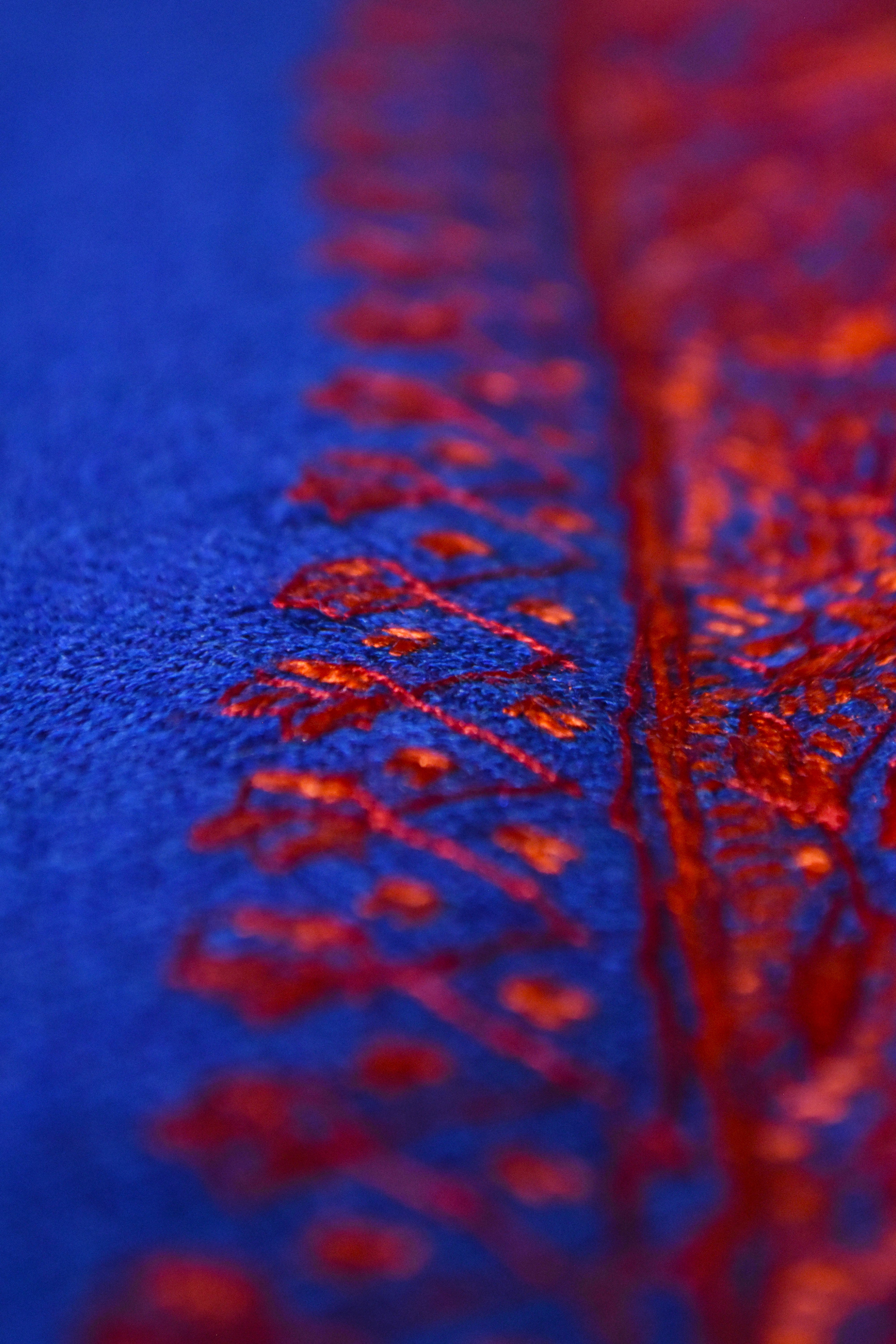 Qala Duar Border Shawl (BQDH-01)