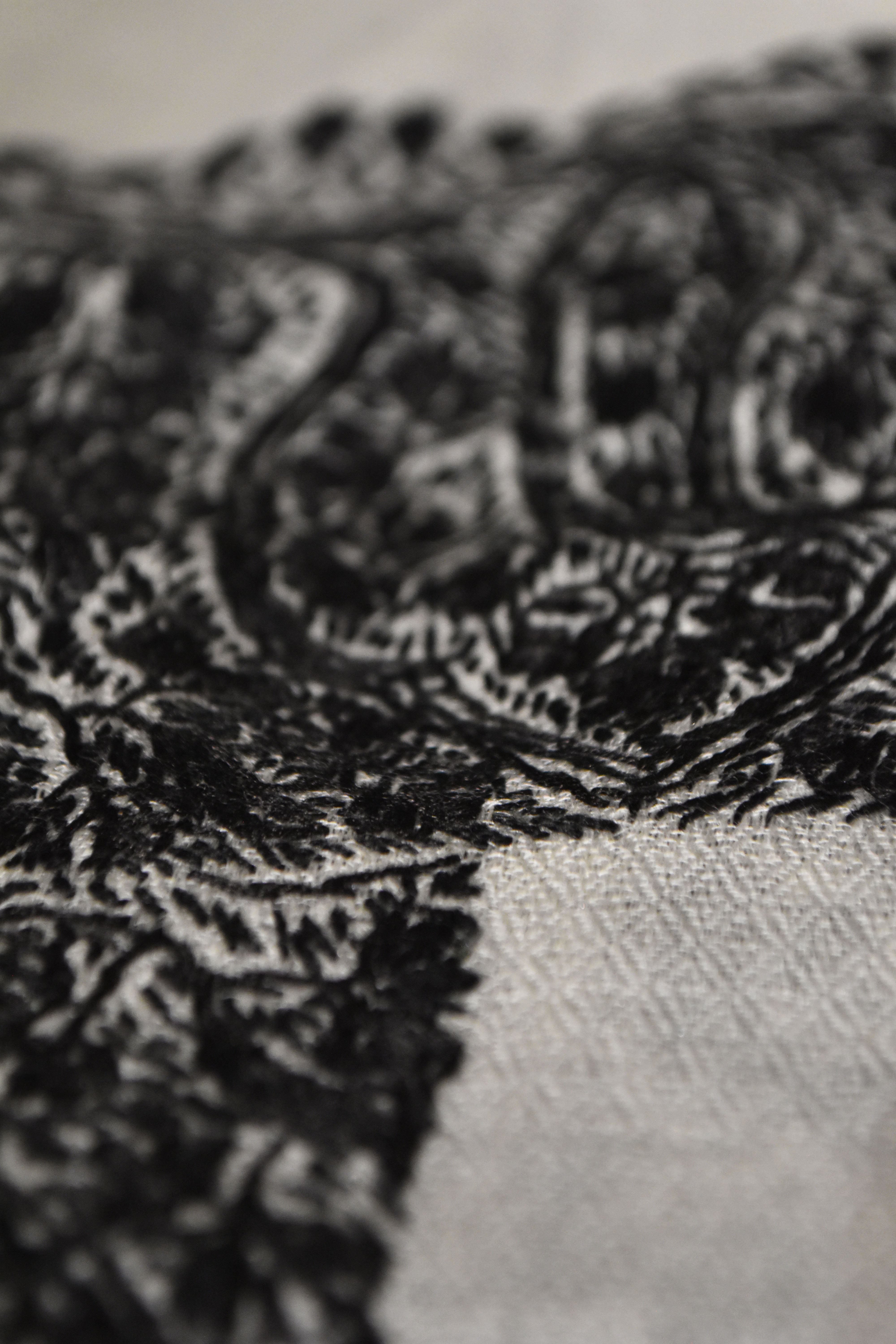 Qala Duar Border Shawl (BQDH-03)